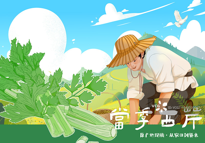 芹菜包装插画图片素材