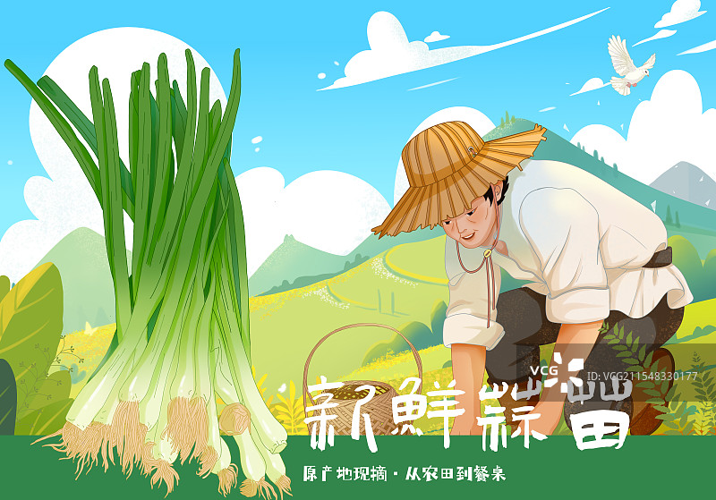 蒜苗包装插画图片素材