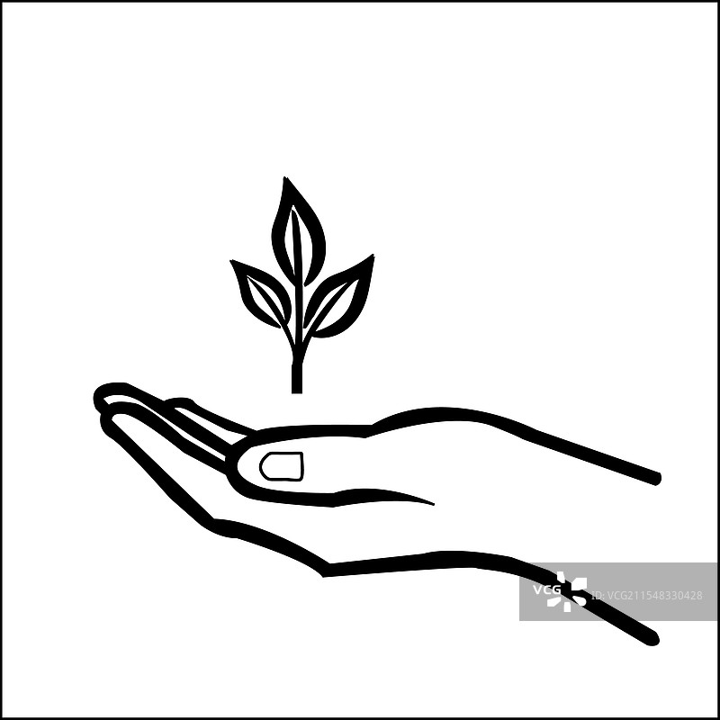 手握植物的线条艺术图片素材
