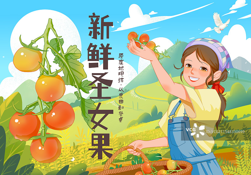 小番茄包装插画图片素材