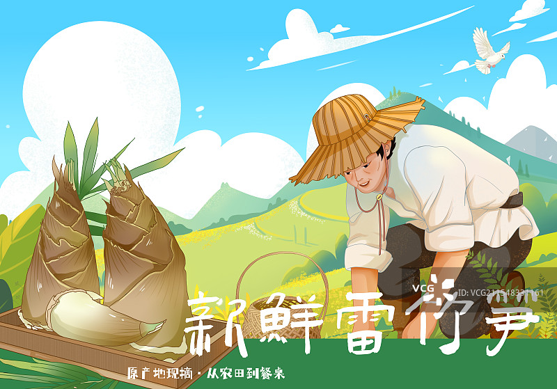 竹笋包装插画图片素材