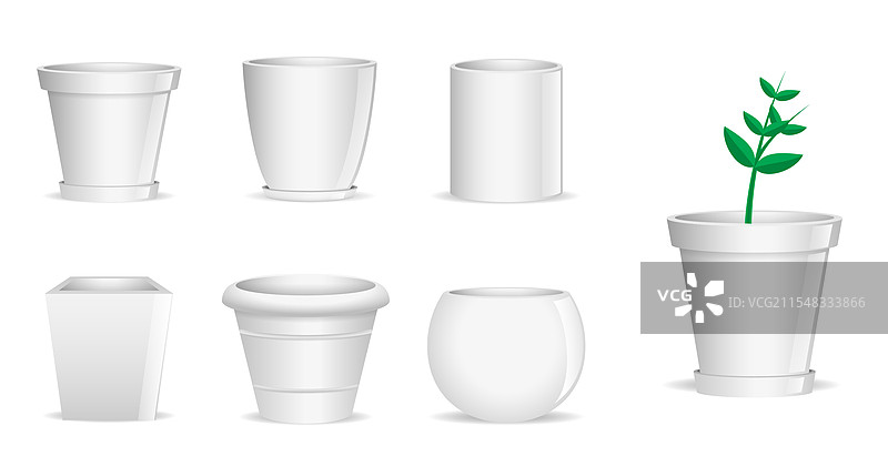 植物生长阶段的系列图示图片素材