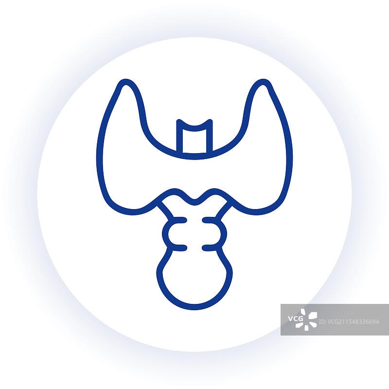 人类甲状腺的医学风格图像图片素材