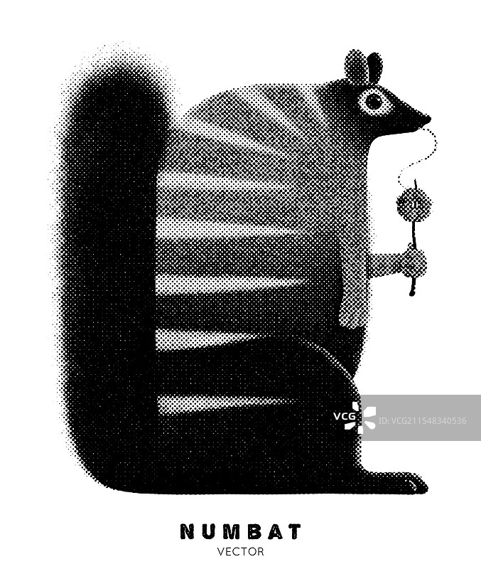 澳大利亚特有动物的无尾熊图形墨水图片素材