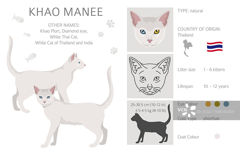 卡曼尼猫剪贴画全毛色套装图片素材