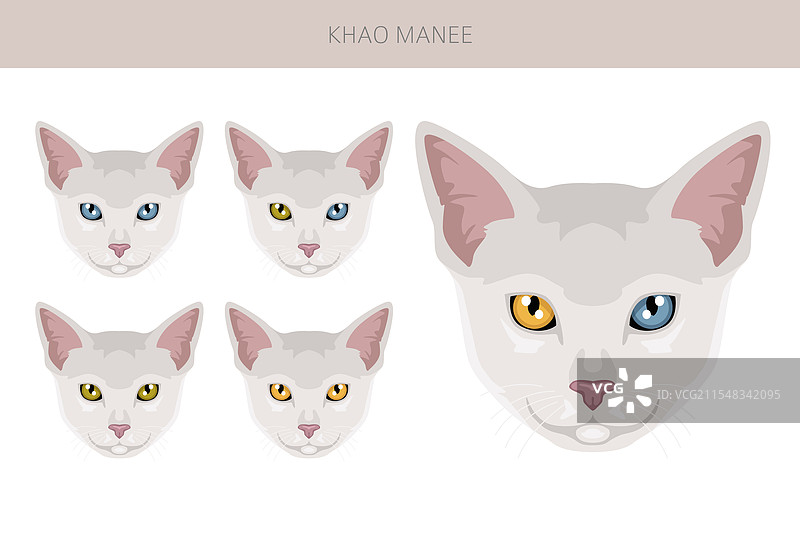 卡曼尼猫剪贴画全毛色套装图片素材