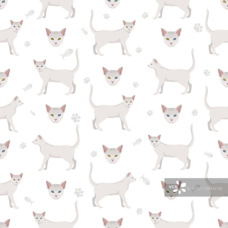 卡曼尼猫无缝图案，所有毛色图片素材