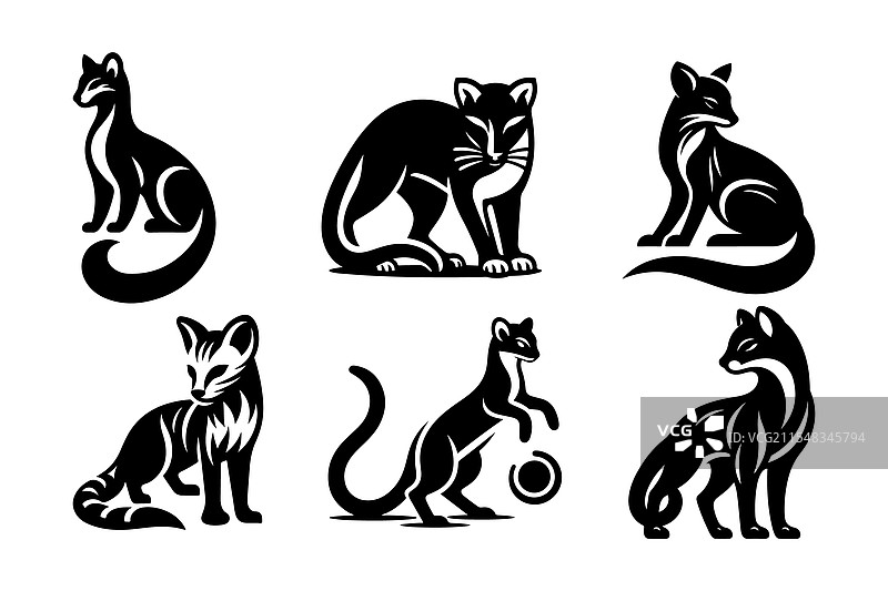 优雅的狐獴轮廓，适合野生动物主题图片素材