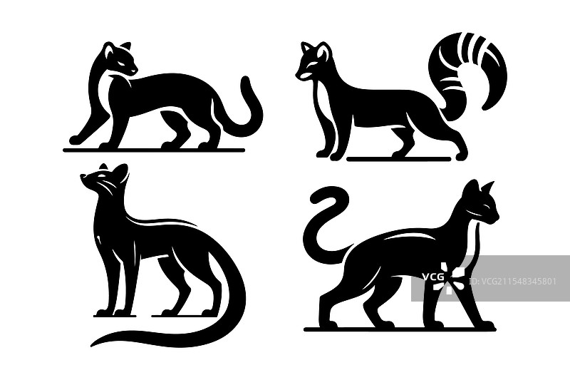 优雅的狐獴轮廓，适合野生动物主题图片素材