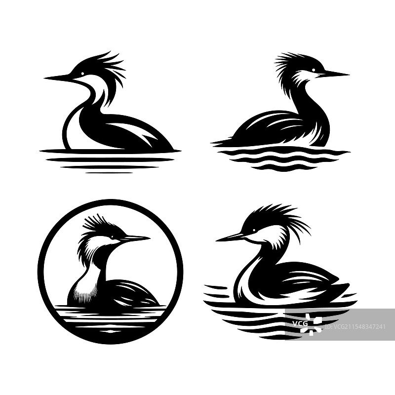 下载朱宁鸊鷉的剪影用于野生动物和图片素材