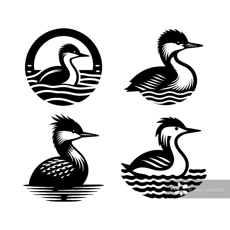 下载朱宁鸊鷉的剪影用于野生动物和图片素材