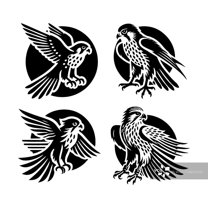 优雅的雀鹰剪影，适用于图形设计和图片素材