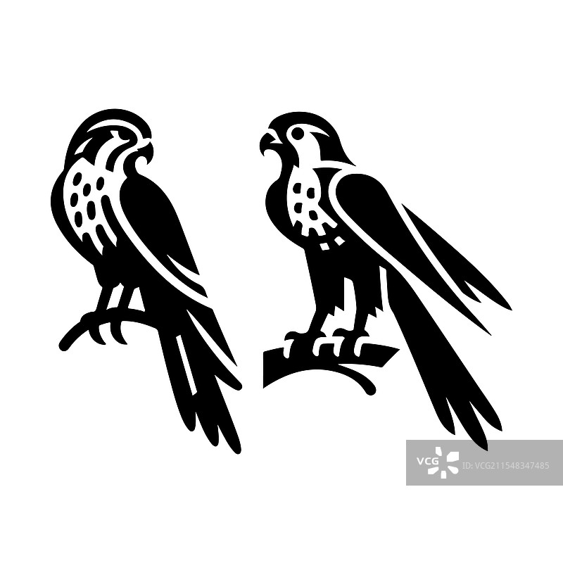 优雅的雀鹰剪影，适用于图形设计和图片素材