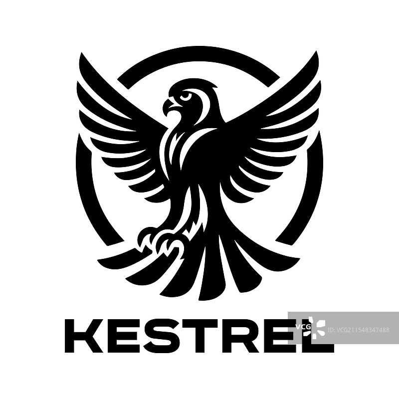 优雅的雀鹰剪影，适用于图形设计和图片素材
