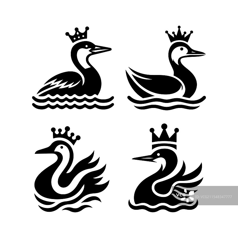 优雅的国王海鸭图形，完美适合野生动物主题图片素材