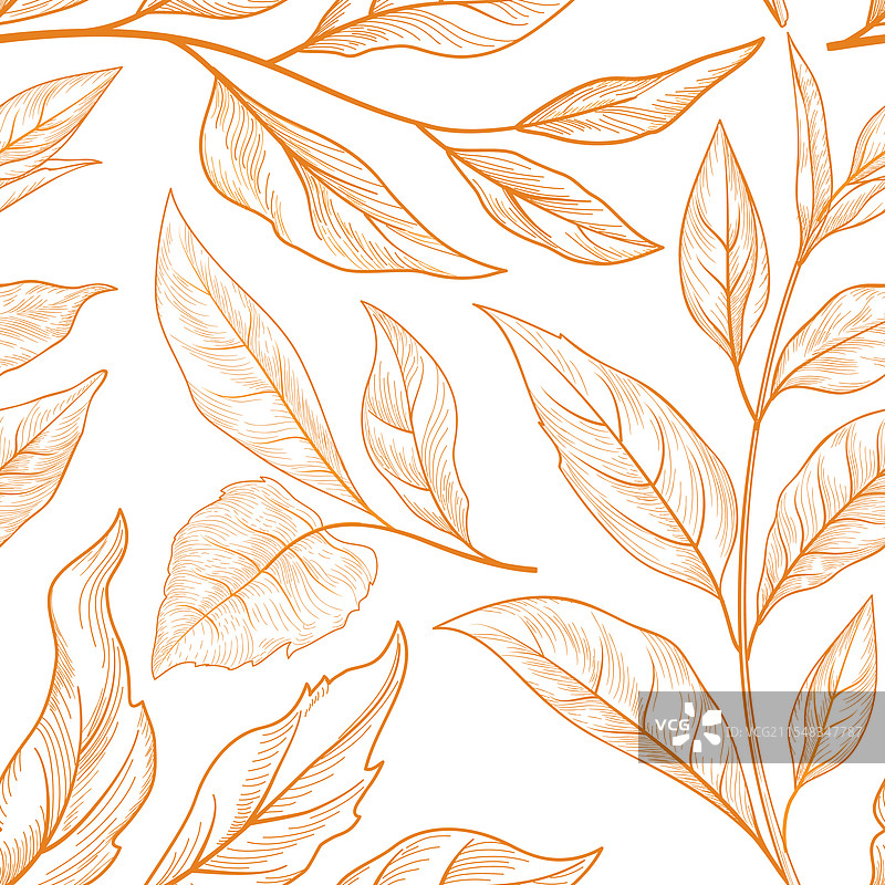 秋季花卉叶片纹理图案图片素材