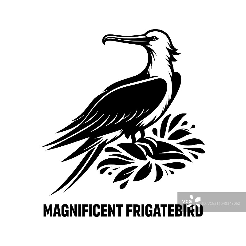 惊艳的壮丽飞鸟剪影图片素材