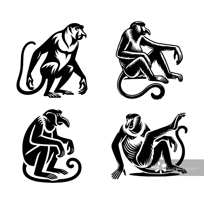 野生动物艺术的犀鼻猴剪影图片素材