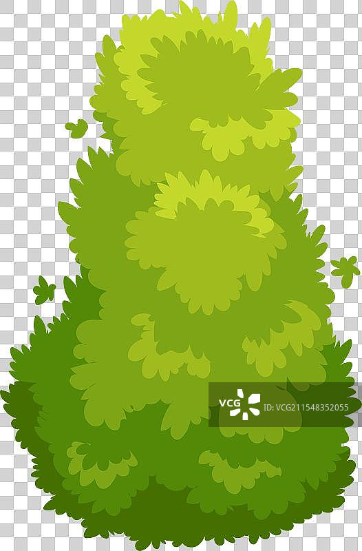 公园里生长的绿色灌木，象征着自然。图片素材