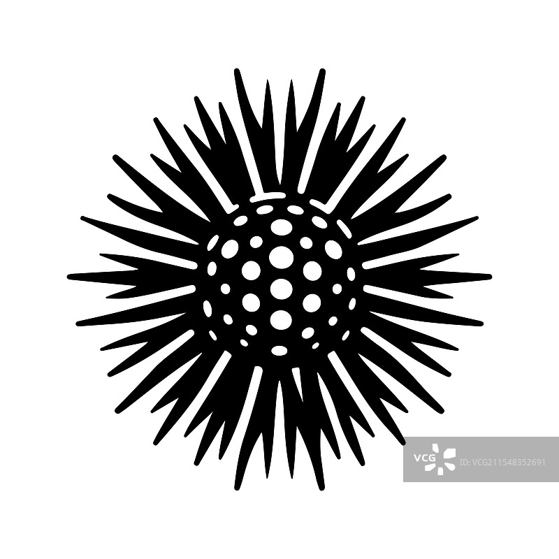 海胆轮廓包增强您的图片素材