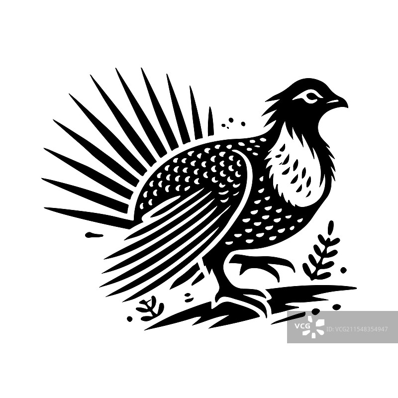 优雅的大草原鸡剪影，理想用于图片素材