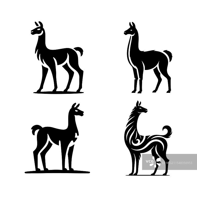 独特的维库尼亚剪影，适用于野生动物自然艺术图片素材