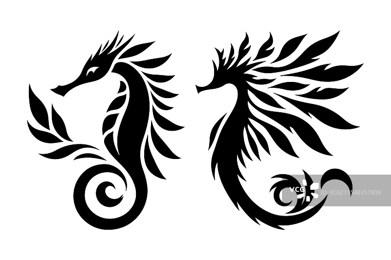 优质的叶海龙图形，适用于海洋生物主题图片素材