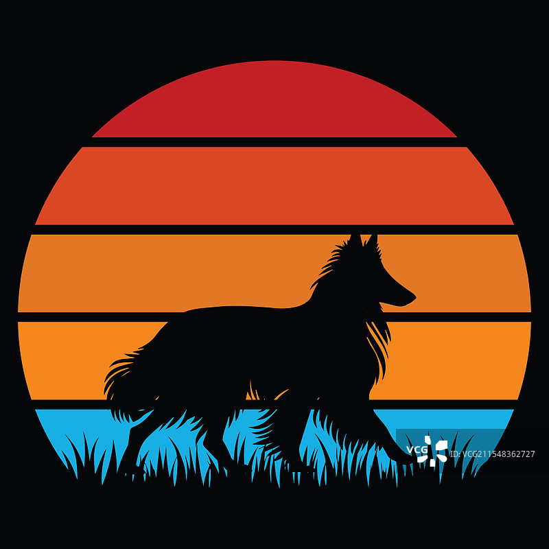 比利时牧羊犬在日落下的复古风景图片素材