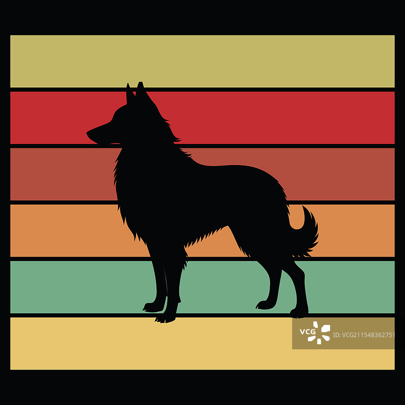比利时牧羊犬 复古风格图片素材