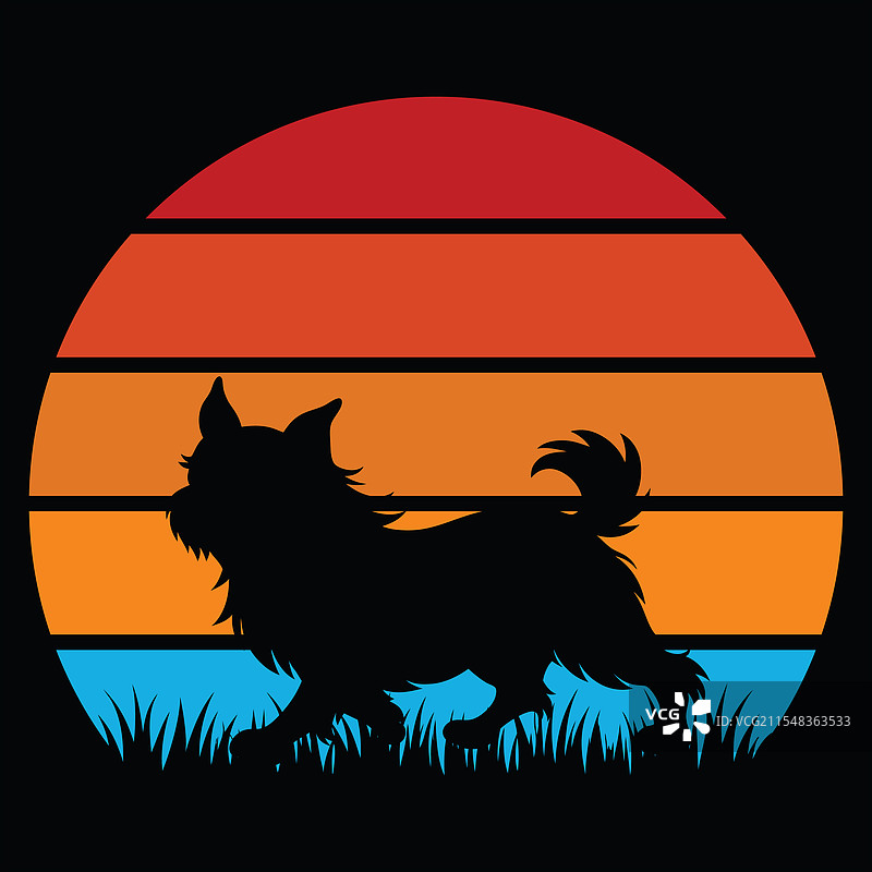 布鲁塞尔格里芬犬在日落时的复古风格图片素材