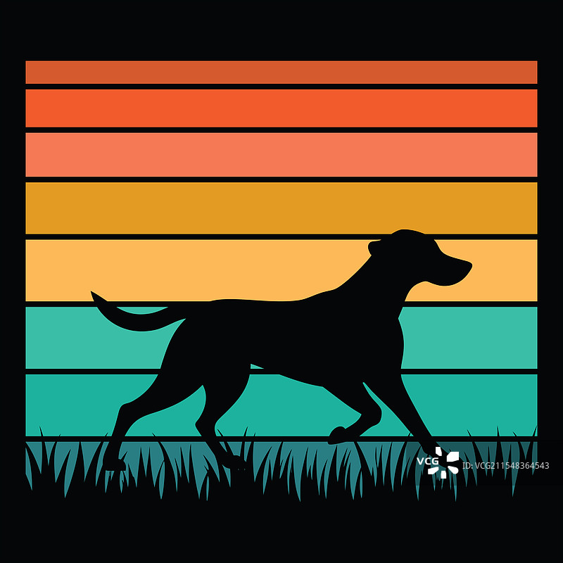 切萨皮克湾寻回犬 复古风格图片素材