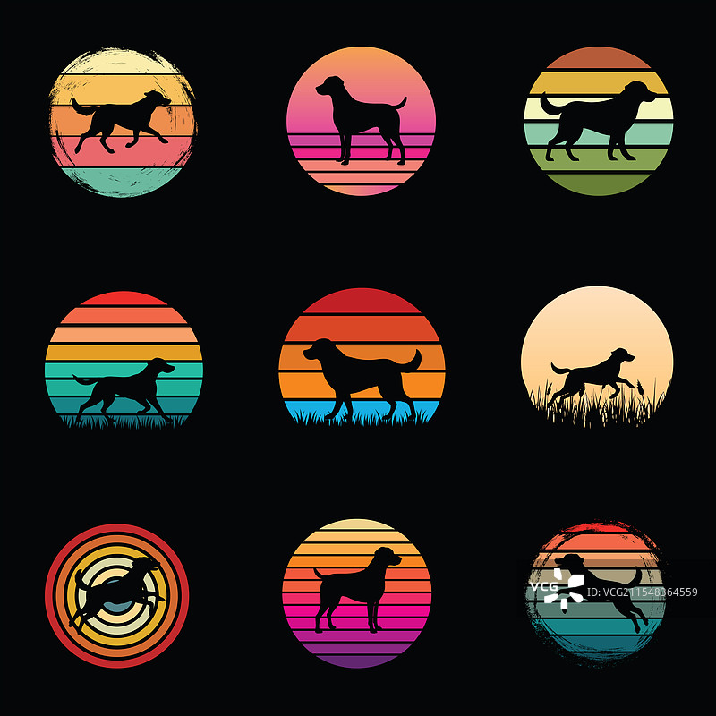 切萨皮克湾寻回犬日落复古风格图片素材