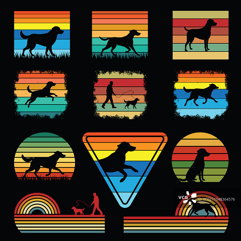 切萨皮克湾寻回犬复古套装图片素材