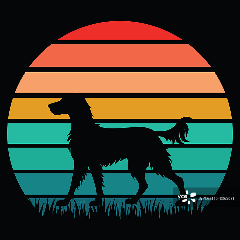 复古风格的英格兰塞特犬与日落图片素材
