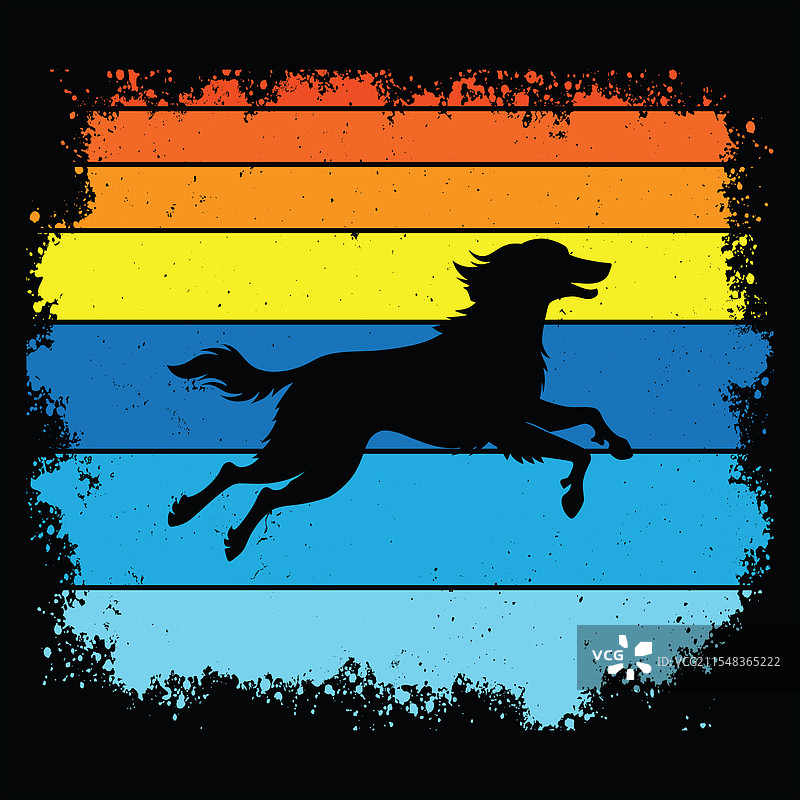 复古的英式设得兰犬图片素材