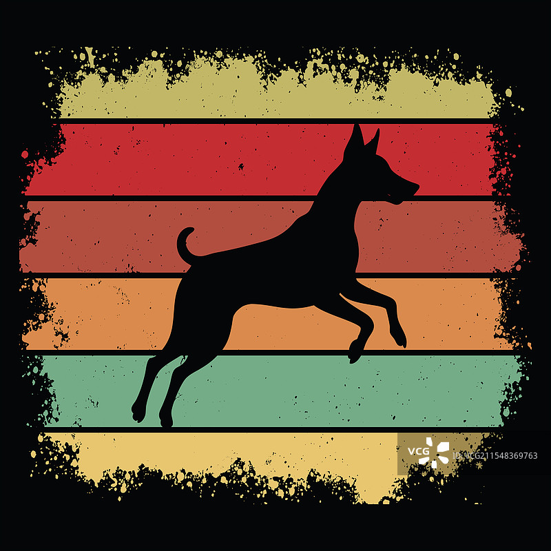 复古德国短毛犬图片素材