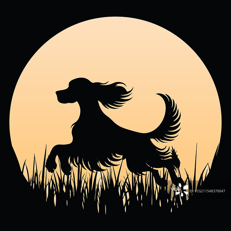 爱尔兰猎犬在日落下的复古风景图片素材