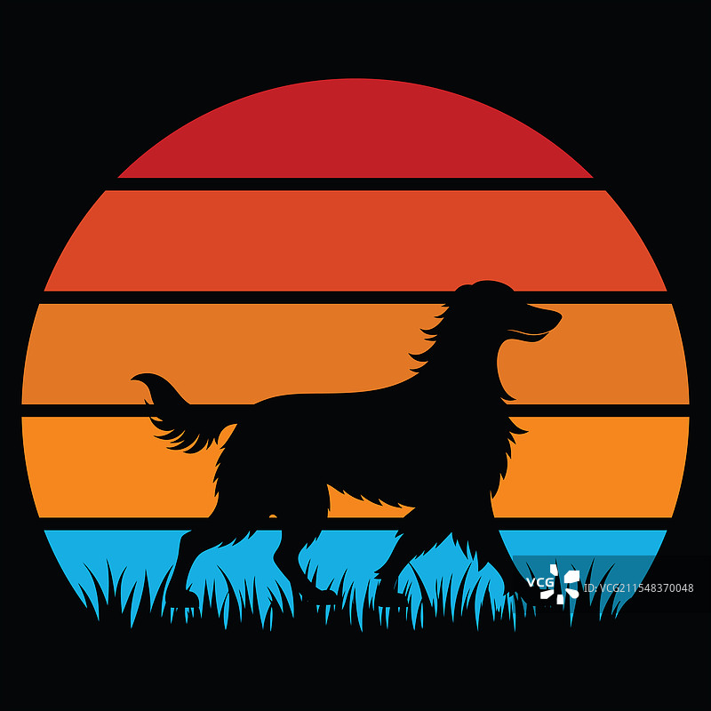 爱尔兰猎犬在日落下的复古风景图片素材