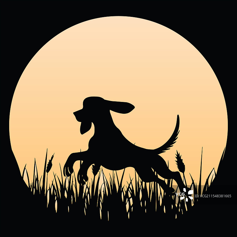 浣熊猎犬日落复古设计图片素材