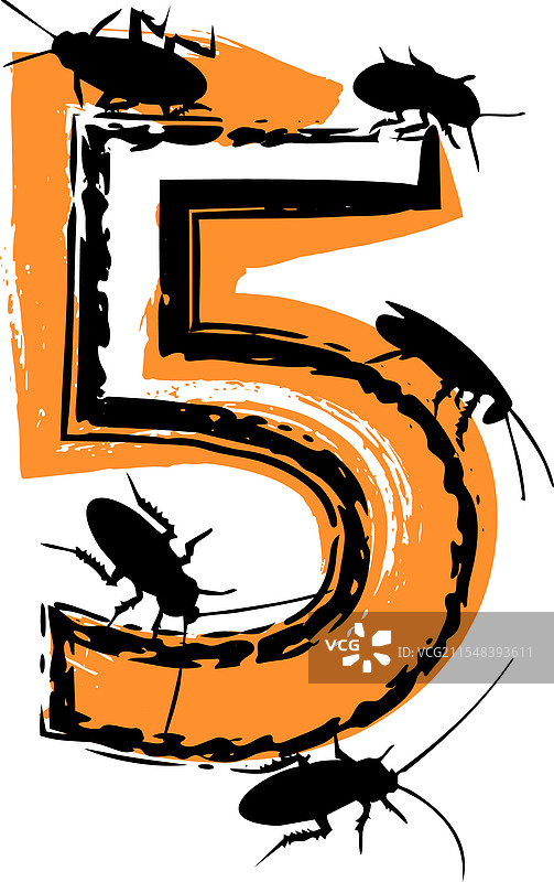 装满蟑螂和虫子的数字5图片素材