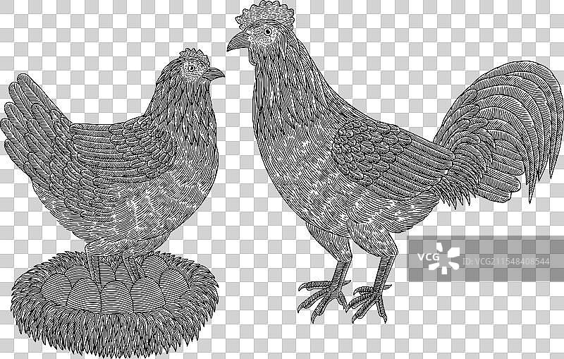 复古风格的稻草上的鸡、公鸡、母鸡和鸡蛋图片素材