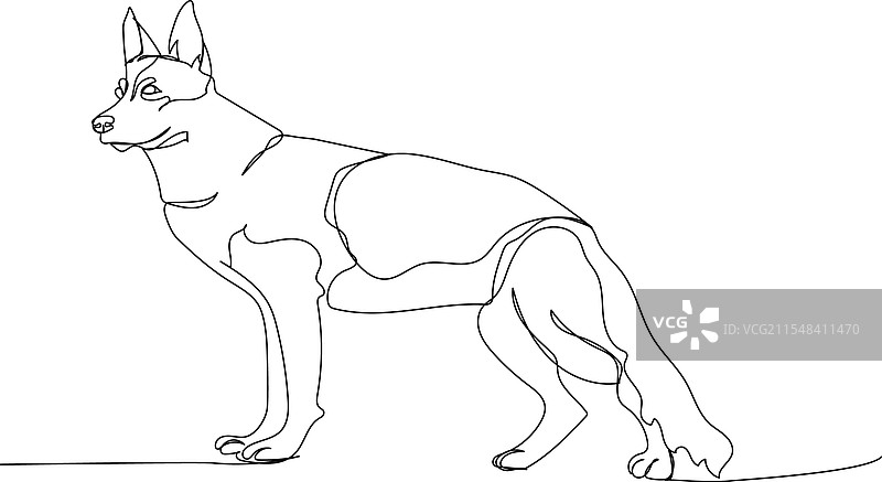 德国牧羊犬犬种牧羊犬图片素材