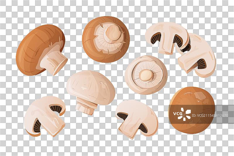 各种切片和整颗的香菇图片素材