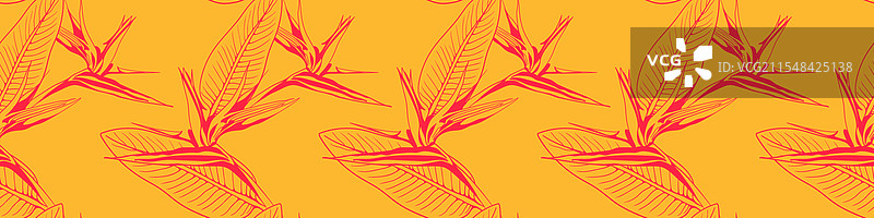 鲜艳的天堂鸟花线条艺术图案图片素材