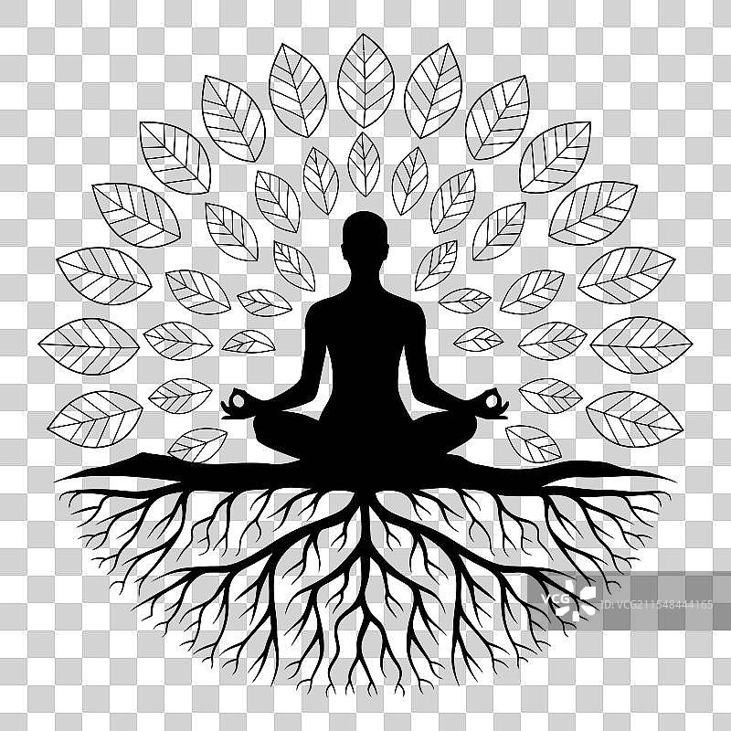 冥想剪影与树根和树叶图片素材
