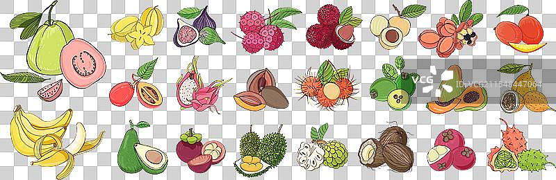 热带异域水果组合，自然成熟新鲜图片素材