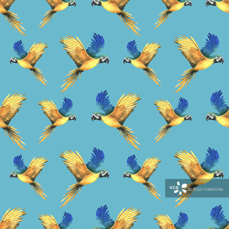 热带飞翔的蓝黄金刚鹦鹉手部特写图片素材