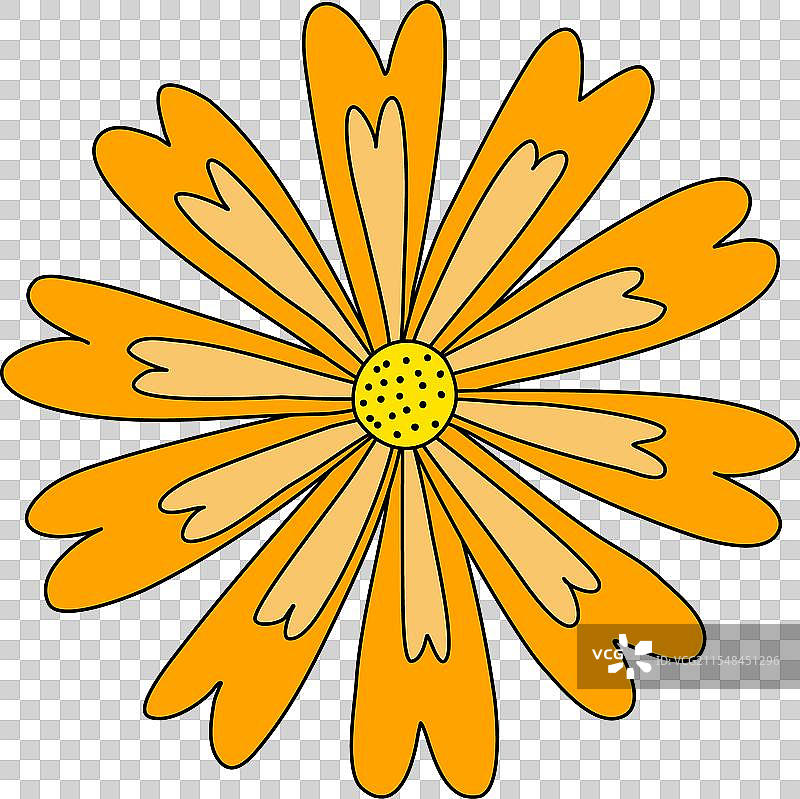 橙色草地花头万寿菊图片素材