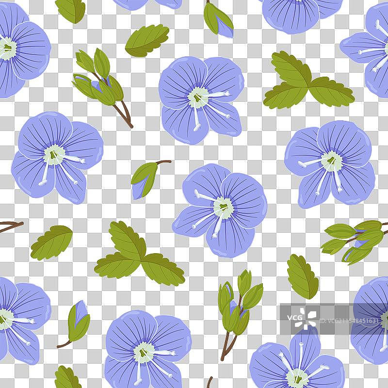 野花的无缝图案图片图片素材