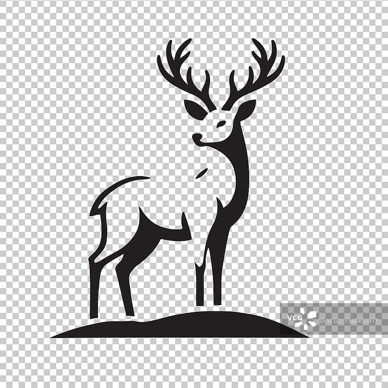 白尾鹿图片素材